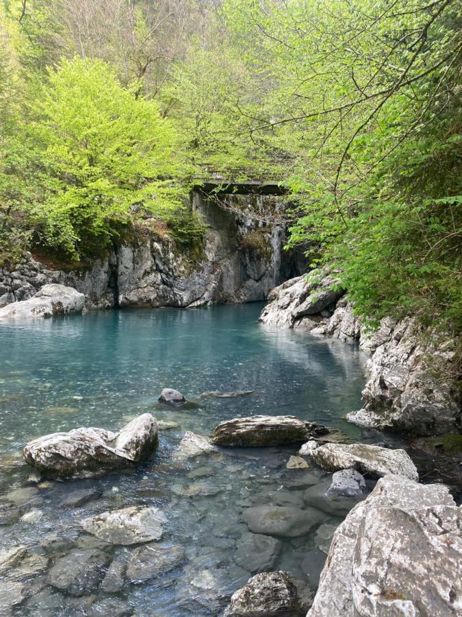 Appartement Rez-De-Chaussee, Cosy T3 4 A 6 Pers Avec Piscines Interieure & Exterieure A Samoens En Haute-Savoie Экстерьер фото