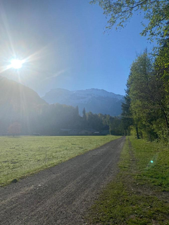 Appartement Rez-De-Chaussee, Cosy T3 4 A 6 Pers Avec Piscines Interieure & Exterieure A Samoens En Haute-Savoie Экстерьер фото